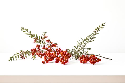 Red Berries and Green Leaves on White Background photo