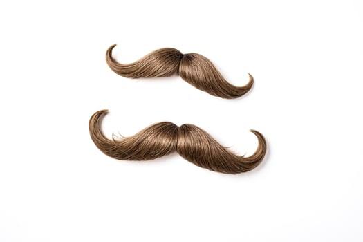 Two Brown Mustaches on White Background photo