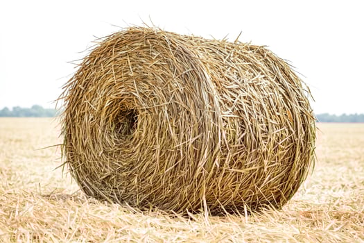 Hay bale in a field photo