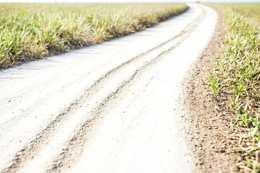 Dirt Road Winding Through Green Grass photo
