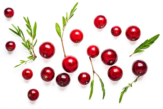 Fresh Cranberries with Green Sprigs Isolated on White Background photo