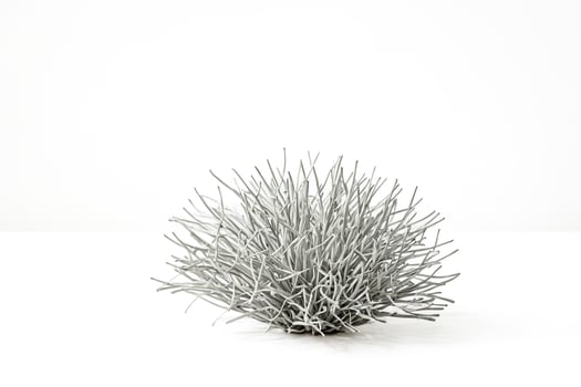 Abstract Gray Grass on White Background photo