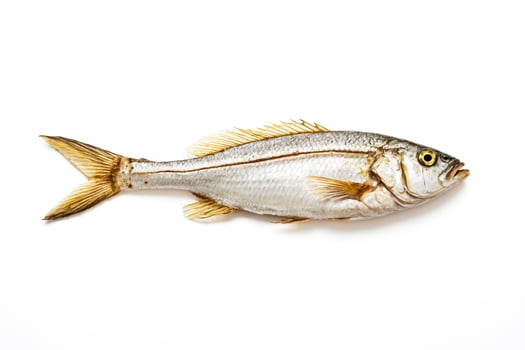 Fresh Whole Fish Isolated on White Background photo