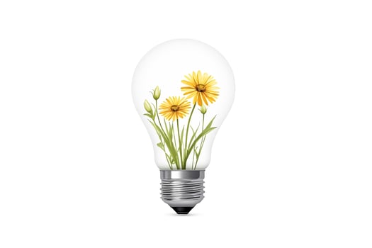 Light Bulb with Flowers Inside photo