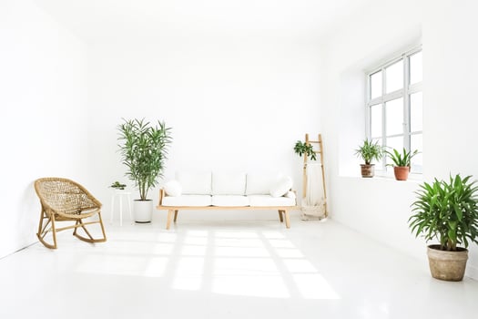Modern Minimalist Living Room with White Walls and Natural Light photo