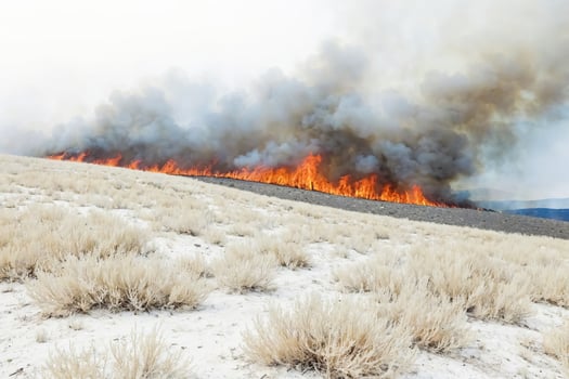 Smoke and Flames on a Dry Hillside photo