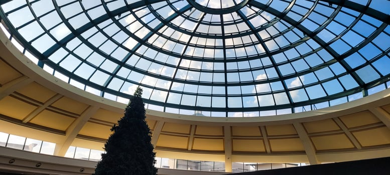 christmas background with pine tree and dome photo