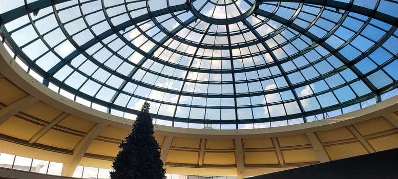 christmas background with pine tree and dome photo