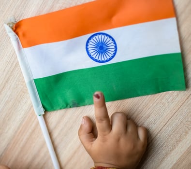 Young voter showing her ink-marked fingers after casting votes near polling booth of east Delhi, India for general Lok Sabha Elections 2024 photo