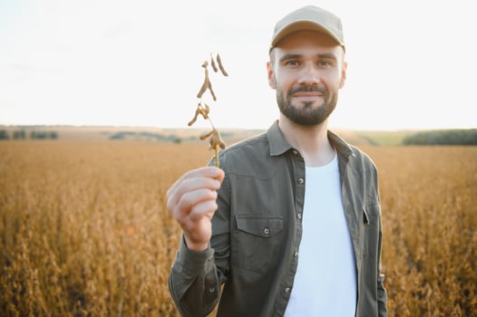 Agronomist inspecting soya bean crops growing in the farm field. Agriculture production concept. young agronomist examines soybean crop on field in summer. Farmer on soybean field. photo