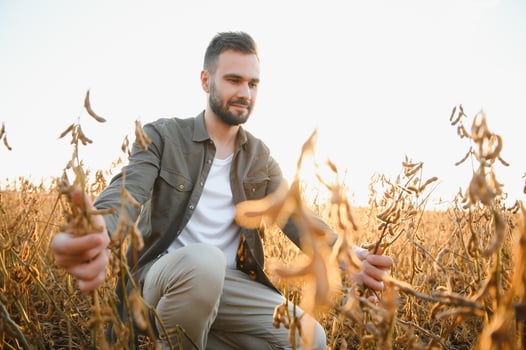 Farmer agronomist on a soybean field. Agricultural industry. photo