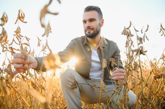 Farmer standing in soybean field at sunset. photo