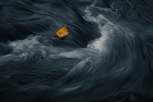 Foreboding Leaf in Turbulent Water Currents nature background photo