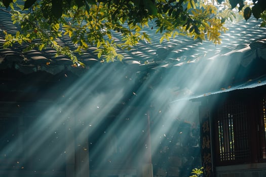 Sunlight filtering through misty leaves in an ancient temple courtyard with serene nature background photo