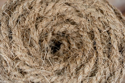 Copra dried pulp and ropes made from fibers of the coconut Cocos nucifera photo