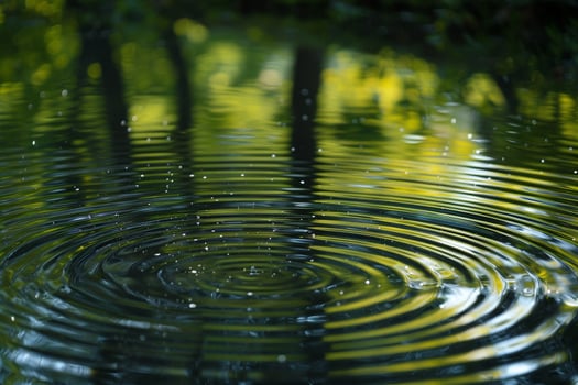 Nature Pond Ripples and Tree Reflections in Early Morning Light  nature background photo