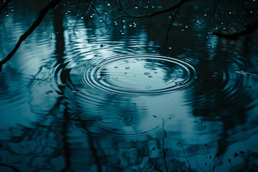 Raindrops creating gentle ripples on secluded forest pond with overhanging branches background nature photo