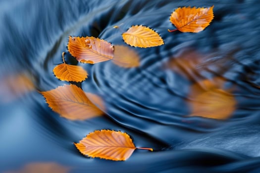 Abstract Patterns of Floating Autumn Leaves in Swirling Mountain Stream   nature background photo