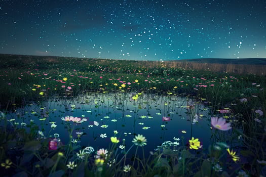 Abstract Field of Wildflowers Reflecting in Still Pond Under Starry Night Sky   nature background photo