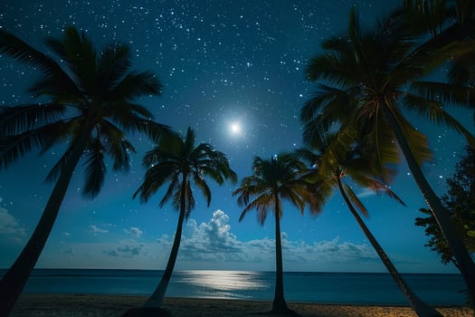 Paradise with Palm Trees Silhouetted Against Full Moon Rising Over Calm Sea with Stars Twinkling in the Night Sky  nature background photo