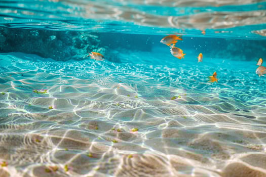 Tranquil Beach with Crystal Clear Waters White Sand and Colorful Tropical Fish Visible Through the Water  nature background photo