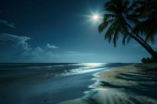Dreamy Palm Trees Swaying in the Gentle Breeze on Moonlit Beach with the Moon Reflected on the Calm Ocean  nature background photo
