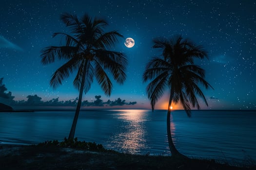 Paradise Palm Trees Silhouetted Against Full Moon Rising Over Calm Sea with Stars Twinkling in the Night Sky nature background photo