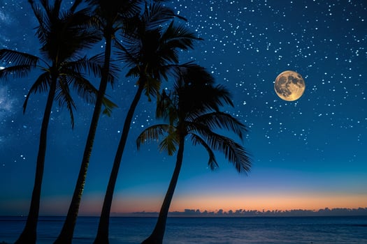 Paradise Palm Trees Silhouetted Against Full Moon Rising Over Calm Sea with Stars Twinkling in the Night Sky nature background photo