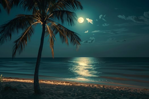 Dreamy Palm Trees Swaying in the Gentle Breeze on Moonlit Beach with the Moon Reflected on the Calm Ocean photo