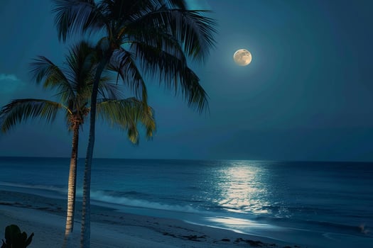 Gentle Breeze and Moonlit Beach with Palm Trees Swaying and Moon Reflections on Calm Waters photo