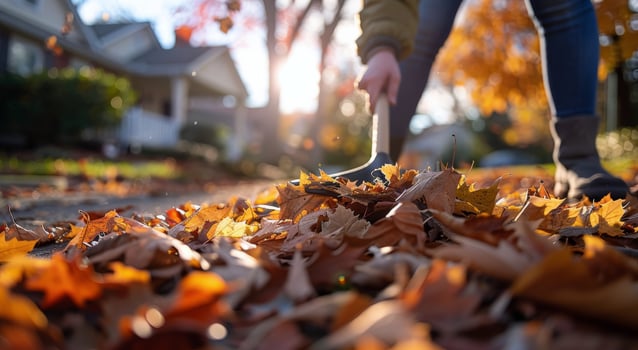 Person Raking Fallen Leaves in a Residential Neighborhood photo