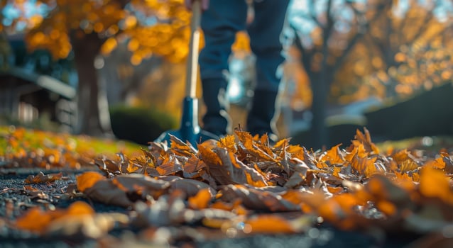 Person Raking Fallen Leaves in a Residential Neighborhood photo