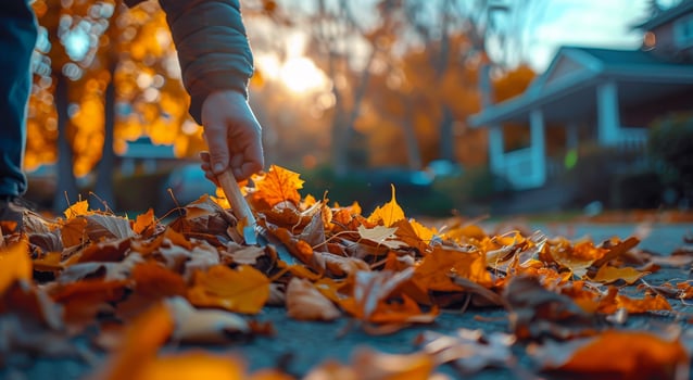 Person Raking Fallen Leaves in a Residential Neighborhood photo