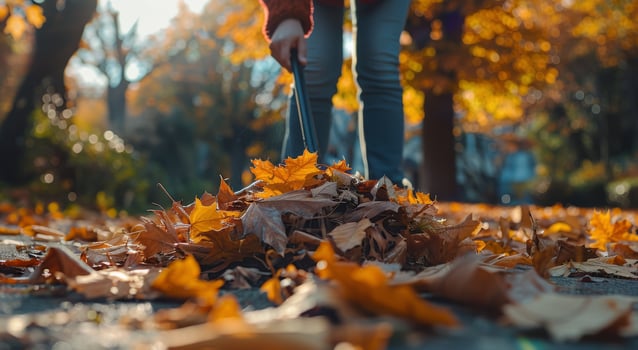 Person Raking Fallen Leaves in a Residential Neighborhood photo