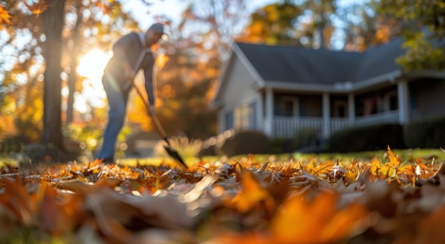 Man Raking Leaves In Autumn Yard photo
