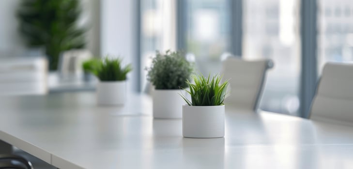 White Table With Green Plants in Office photo