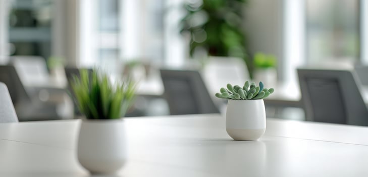 White Table With Green Plants in Office photo