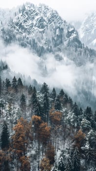 Snow-covered mountain peaks and a misty forest photo