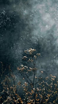 Flowers bloom amidst morning mist, bathed in soft, ethereal light photo