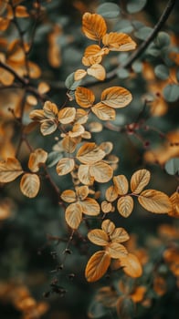 Golden leaves sway on a branch against a dark green background photo