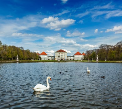 Swan and Nymphenburg Palace. Munich, Bavaria, Germany photo