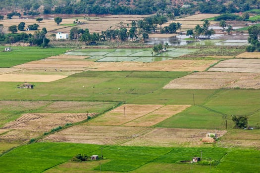 Aeiral view of Indian countryside with rice paddies, Tamil Nadu, photo