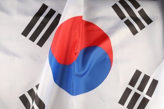 South Korea silk flag closeup photo