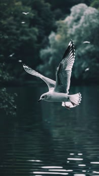 A seagull flies over tranquil waters photo