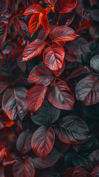 Close-up of vibrant red leaves photo
