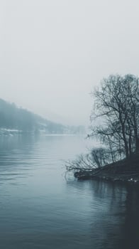 A calm, misty river with a solitary tree silhouetted on the bank photo