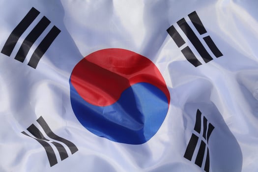 South Korea flag close-up photo