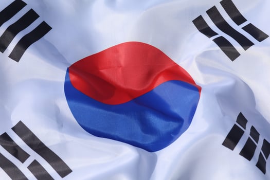 South Korea flag close-up photo