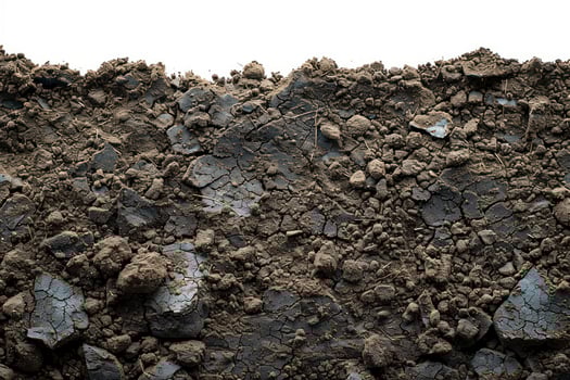 there is some dirt and grass by itself, photo