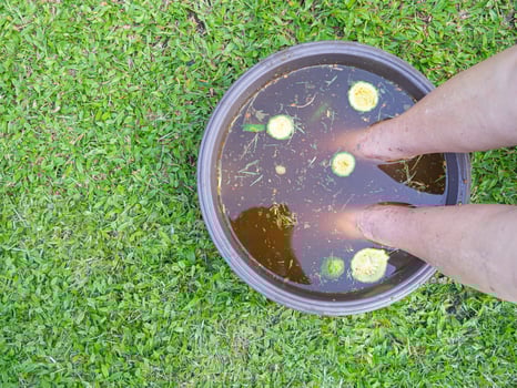 Close-up of the foot spa with herbs water for relaxation treatment. A senior woman who has ankle pain uses herbal treatment to relax the muscles by soaking warm water that is boiled from herbs photo